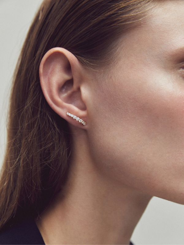 Maxi Gradient Earrings